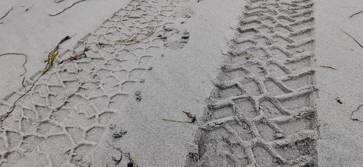 maxxis_razrat_razrmt