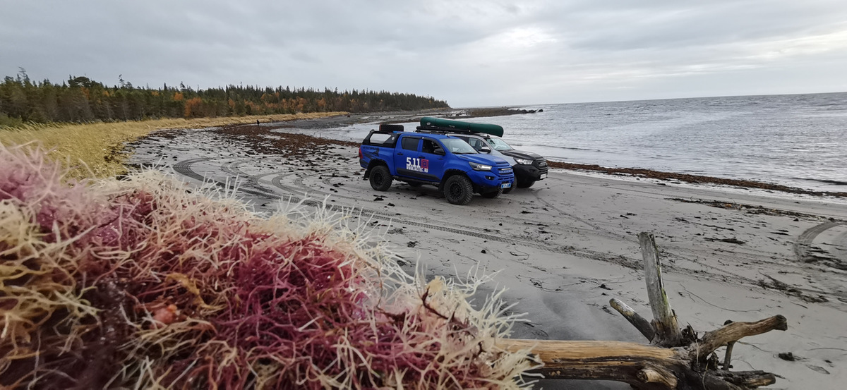 maxxis_razrat_razrmt