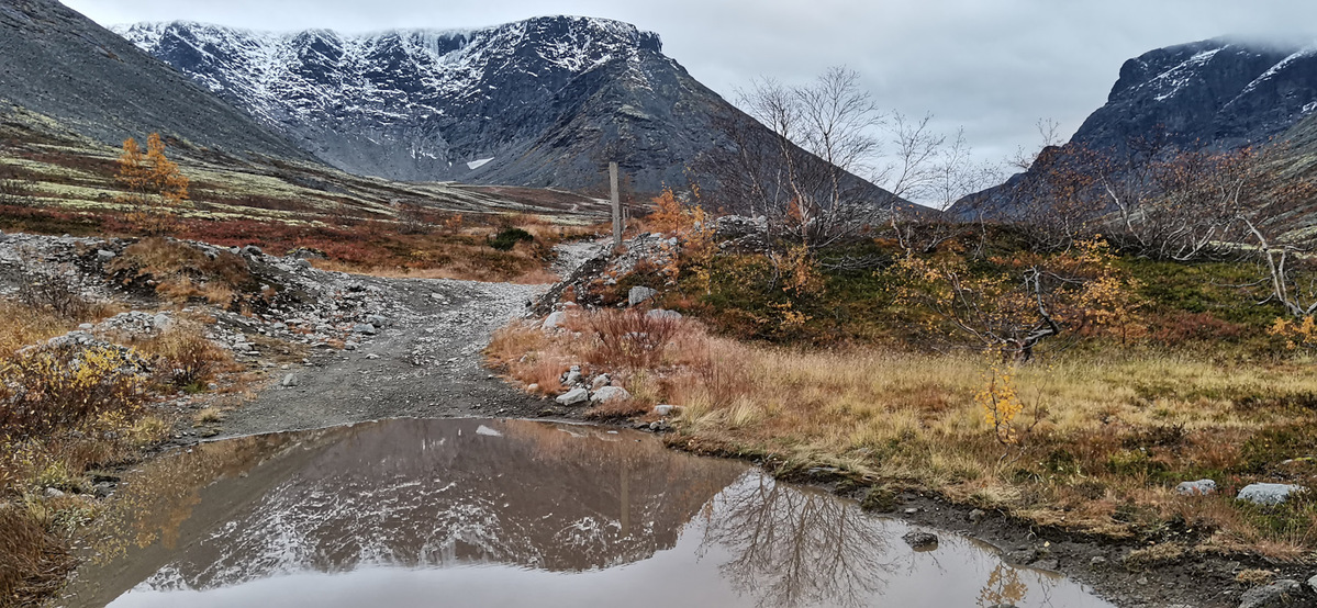 maxxis_razrat_razrmt