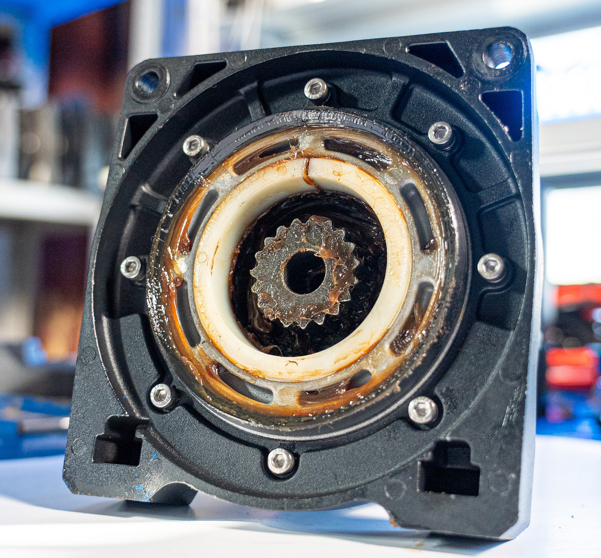 ��������