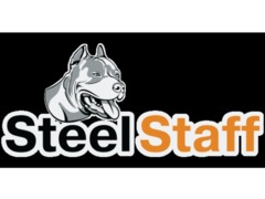  SteelStaff   , Nissan Patrol Y61 02/2000+ (-)
