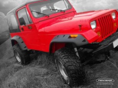     Jeep Wrangler ( YJ )																												
